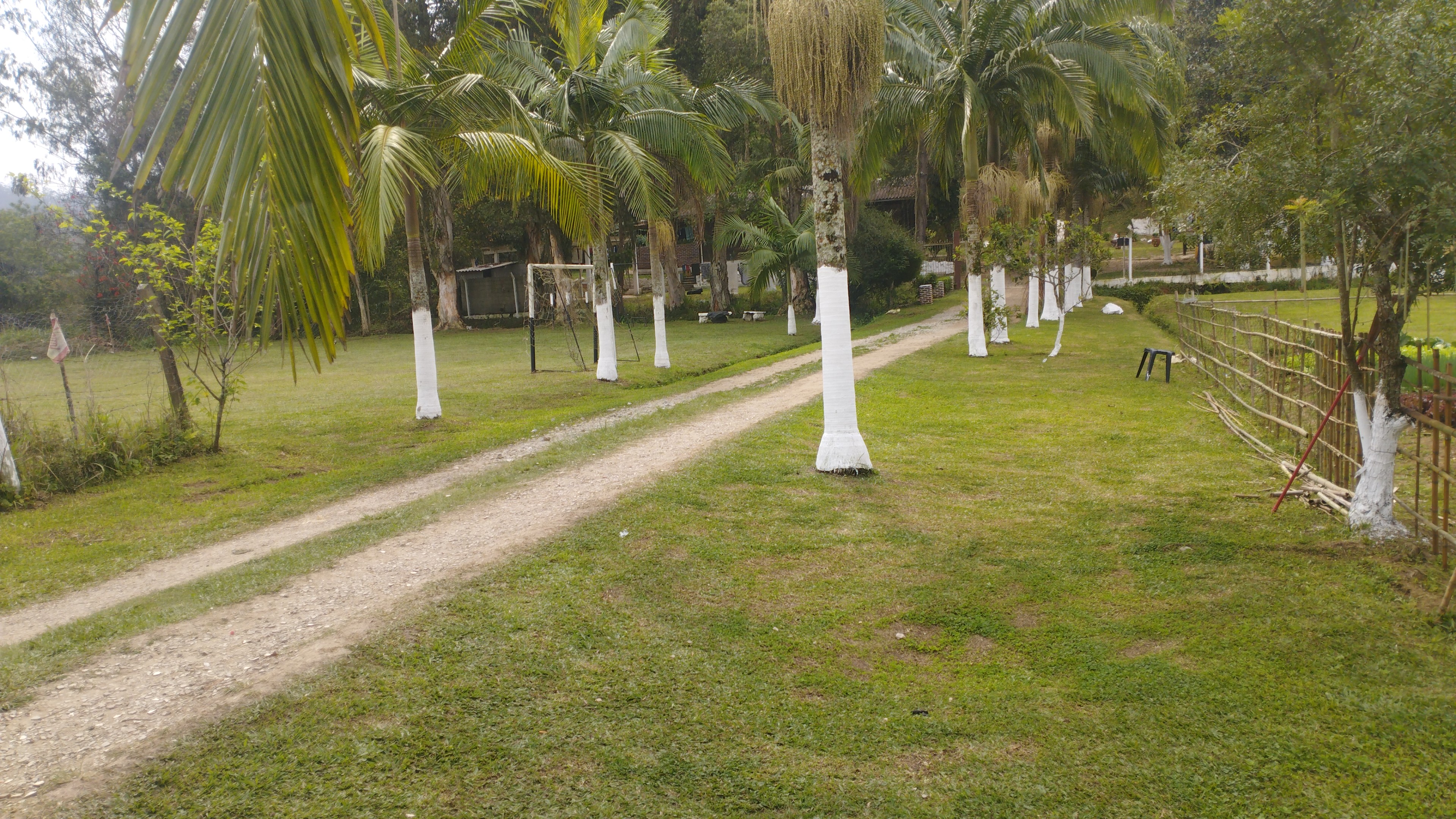 Registro da Comunidade Amor e Vida — foto 6 de 8