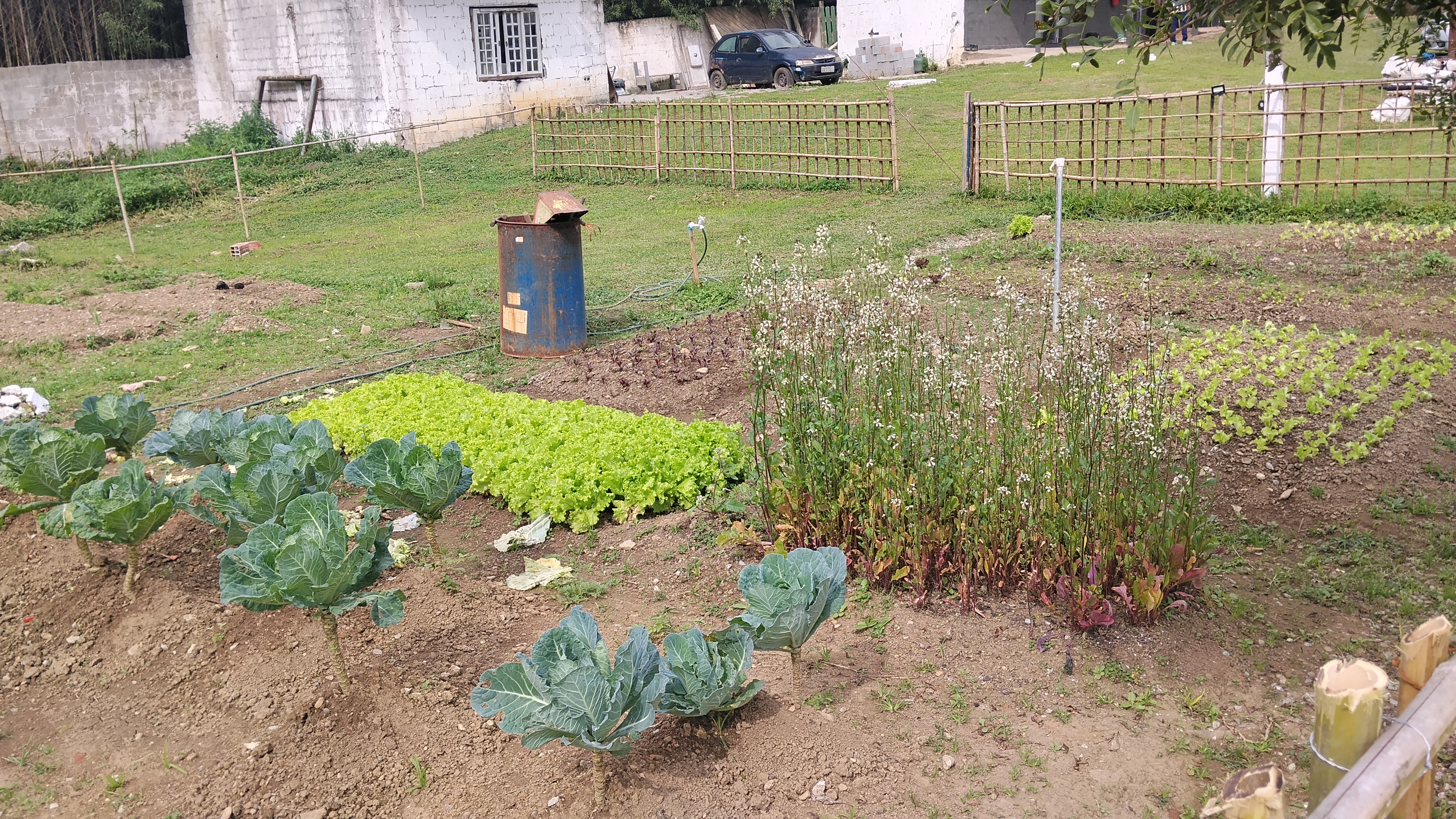 Registro da Comunidade Amor e Vida — foto 8 de 8